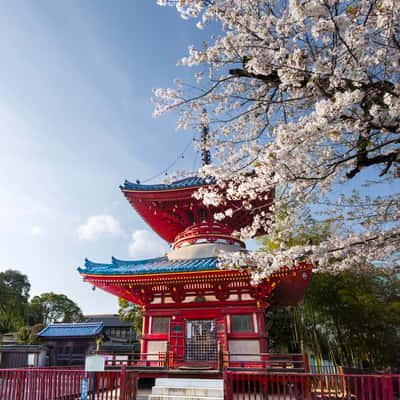 Kita-in Temple in Kawagoe, Japan