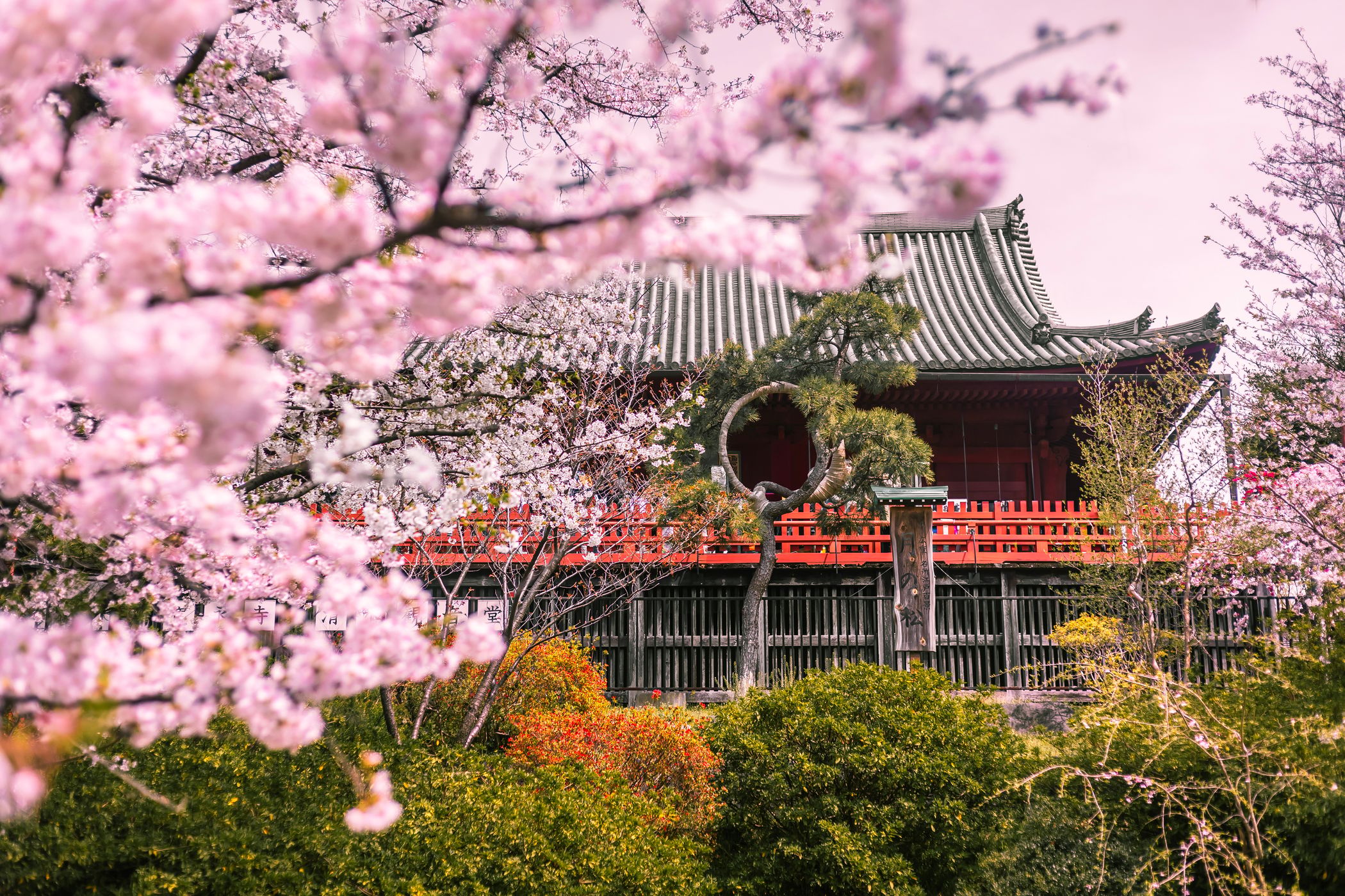 Kiyomizu Kannon-dō Temple, Japan