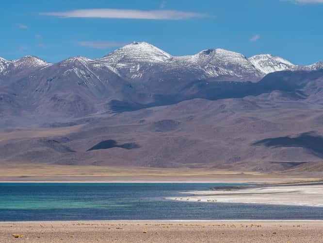 Laguna Miscanti