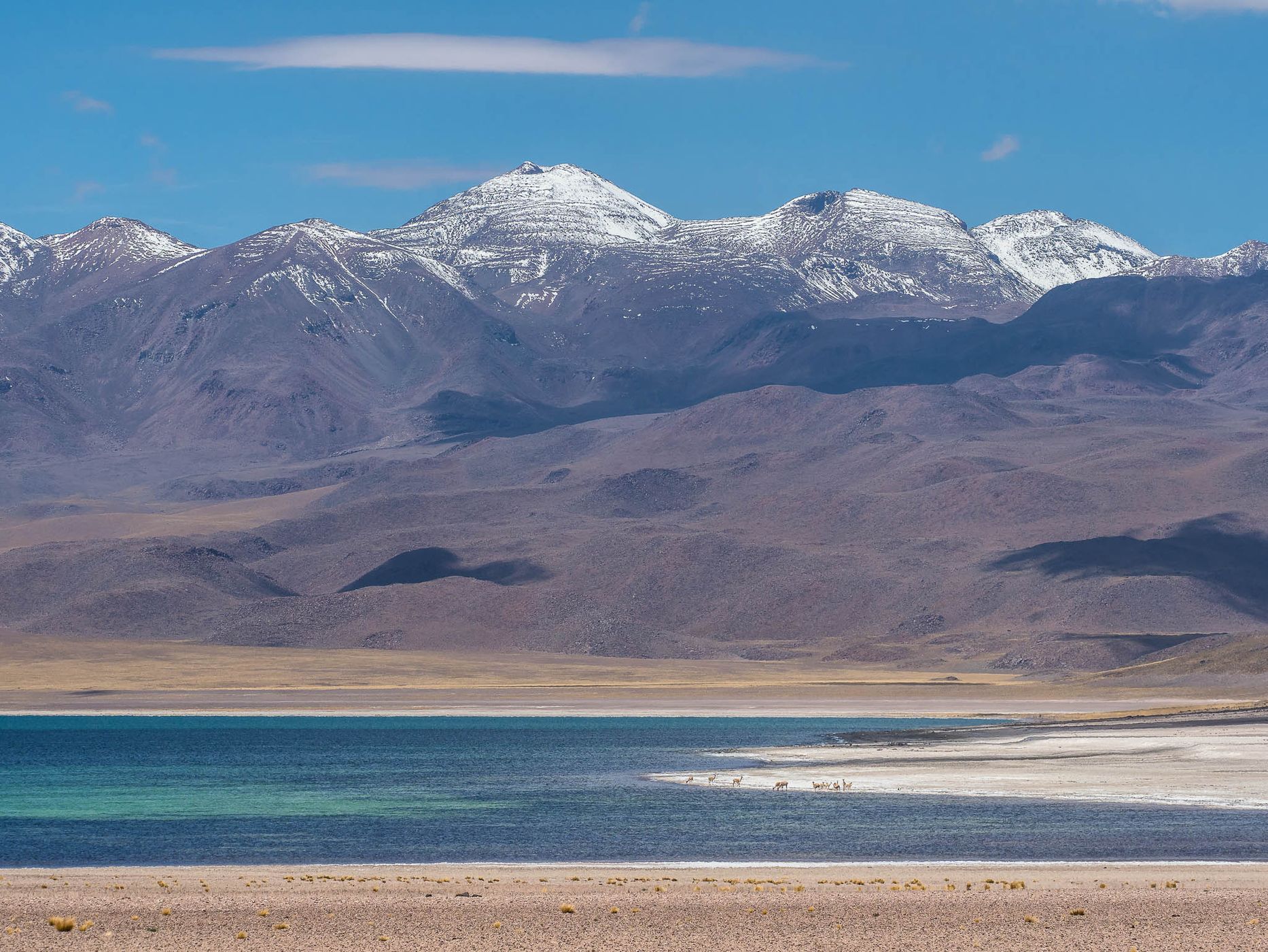 Laguna Miscanti, Chile