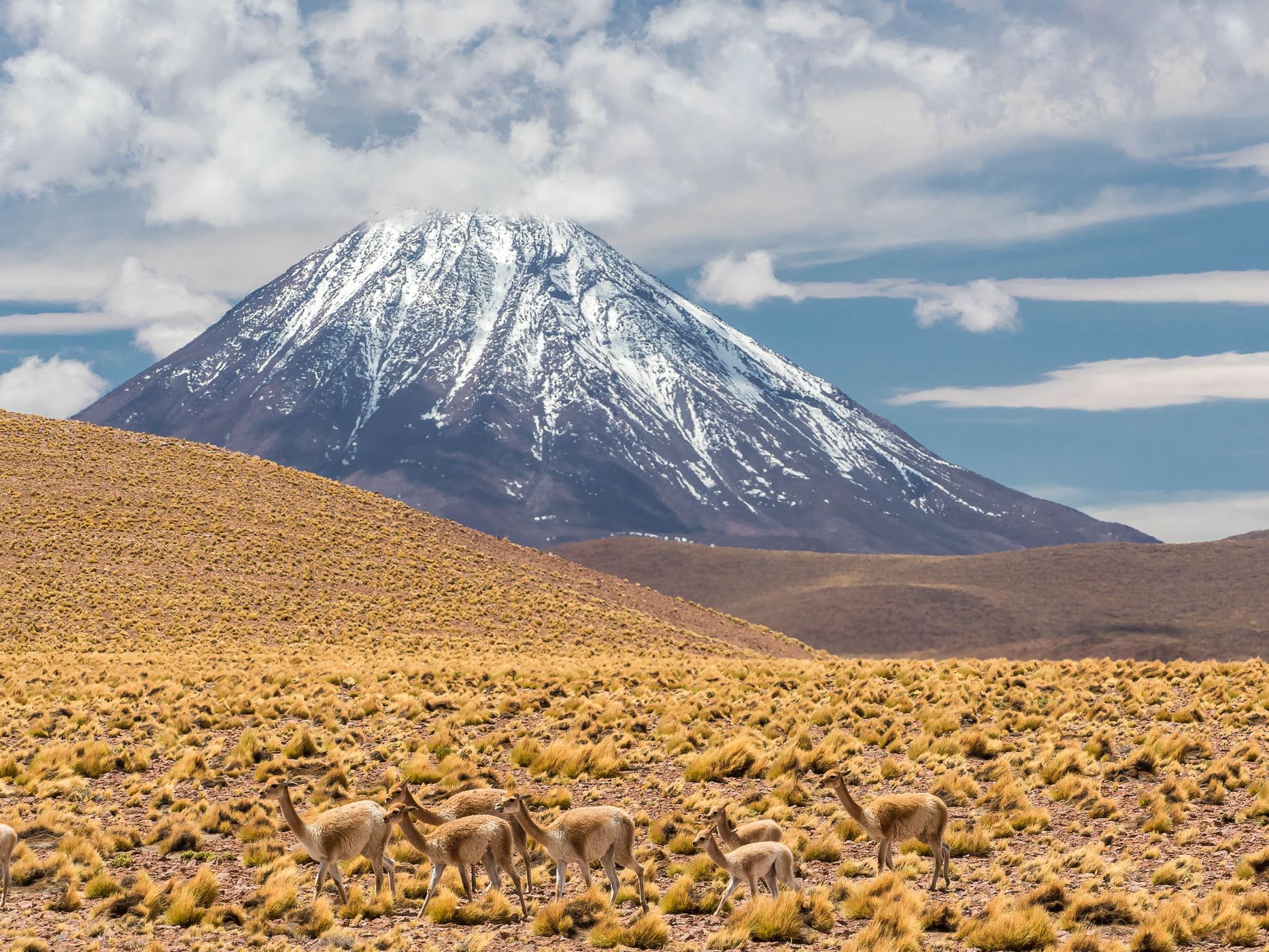 Laguna Miscanti, Chile