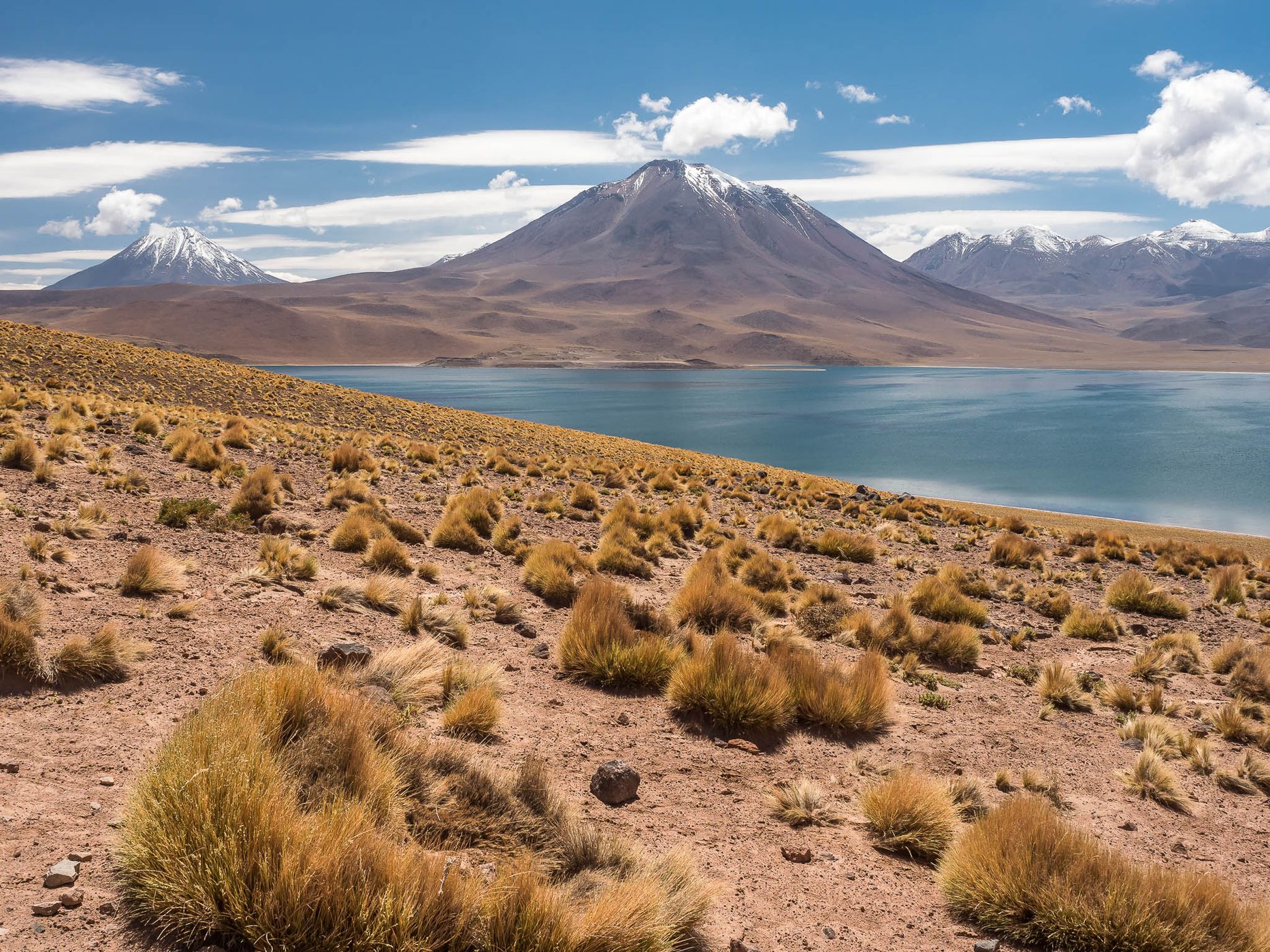 Laguna Miscanti, Chile
