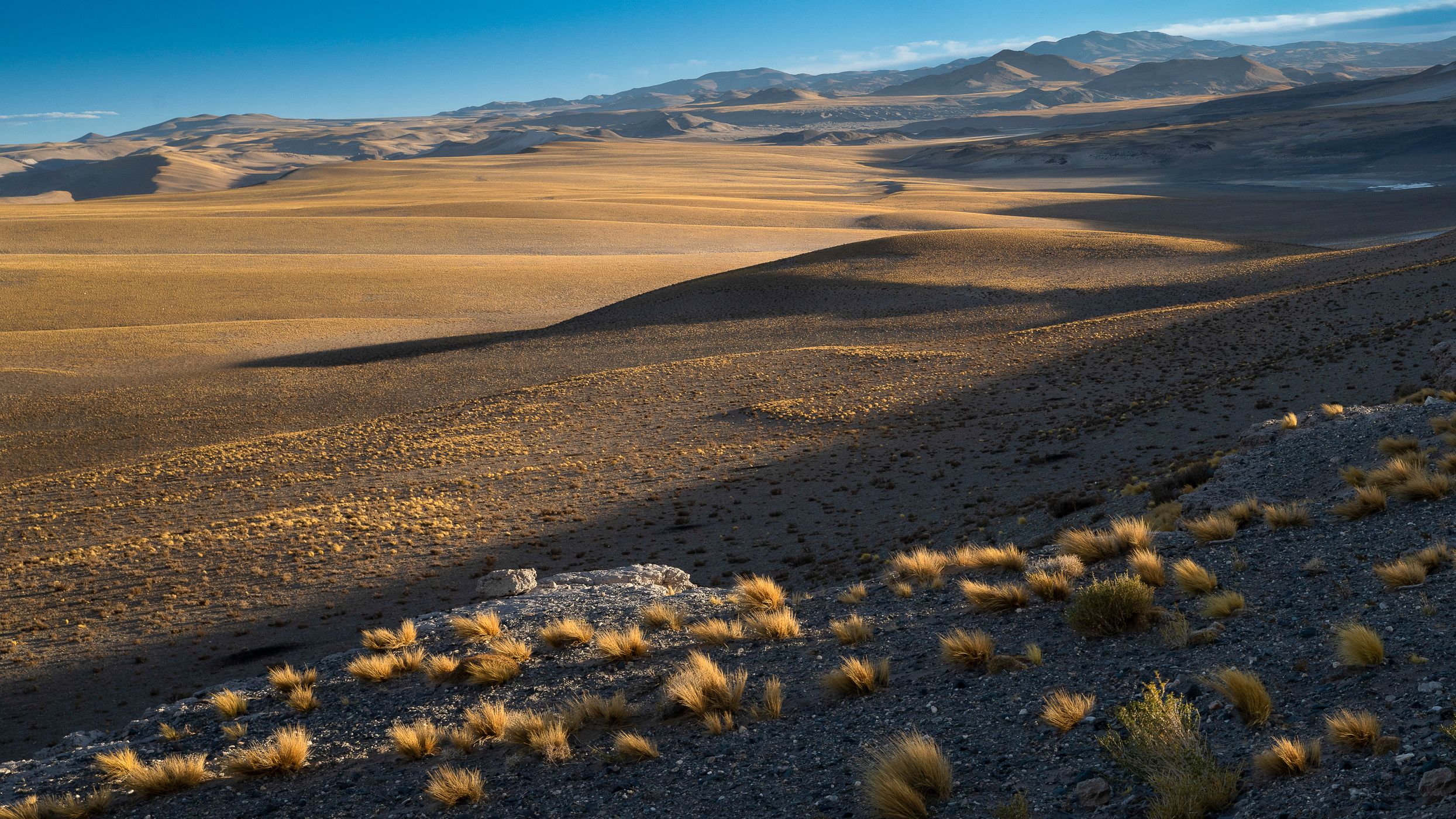 Large spaces in the Puna, Argentina