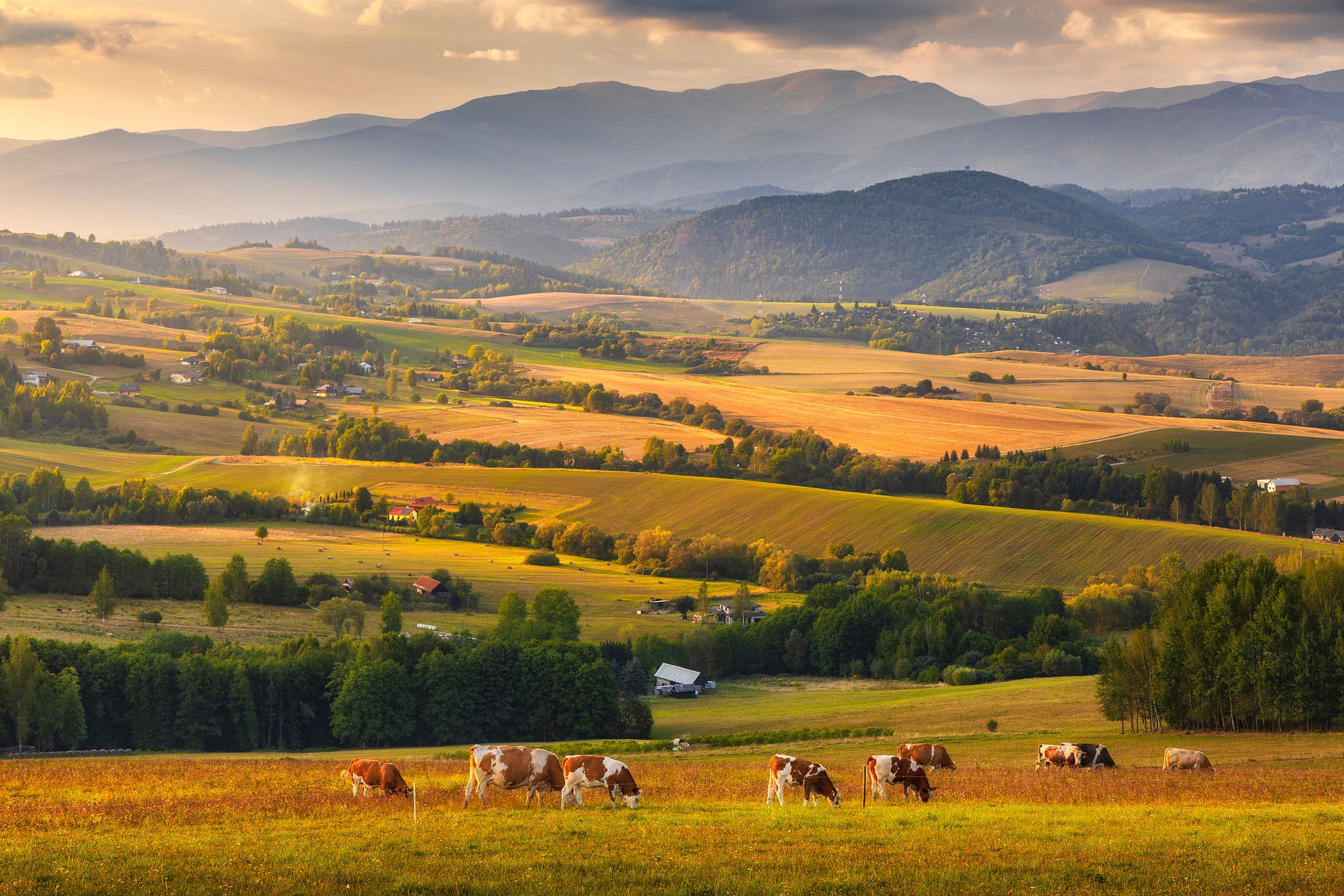 Low Tatras view, Slovakia (Slovak Republic)