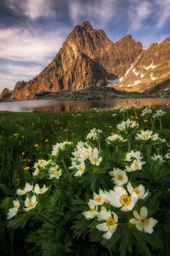 Malá Studená dolina in High Tatras