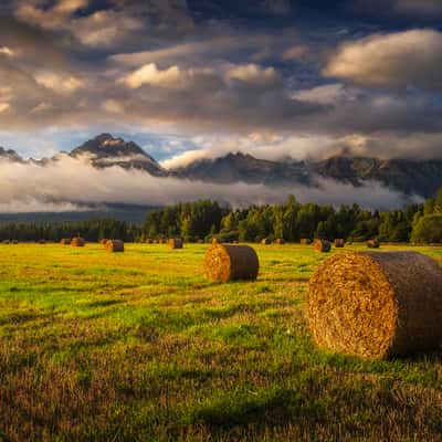 Meadows near Gerlachov Village, Slovakia (Slovak Republic)