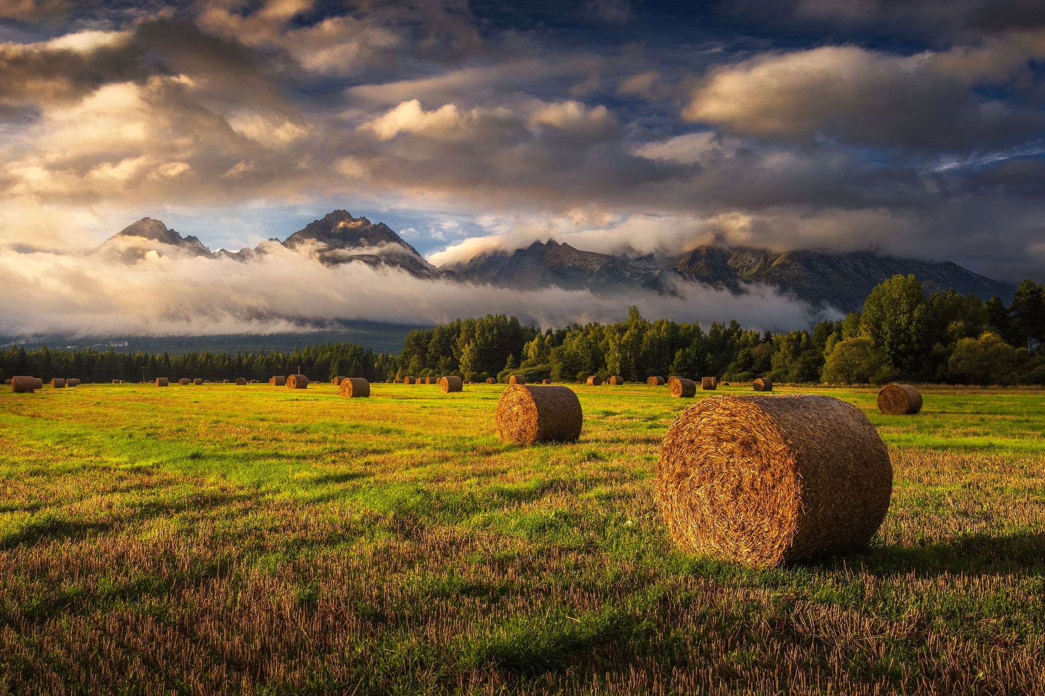 Meadows near Gerlachov Village, Slovakia (Slovak Republic)