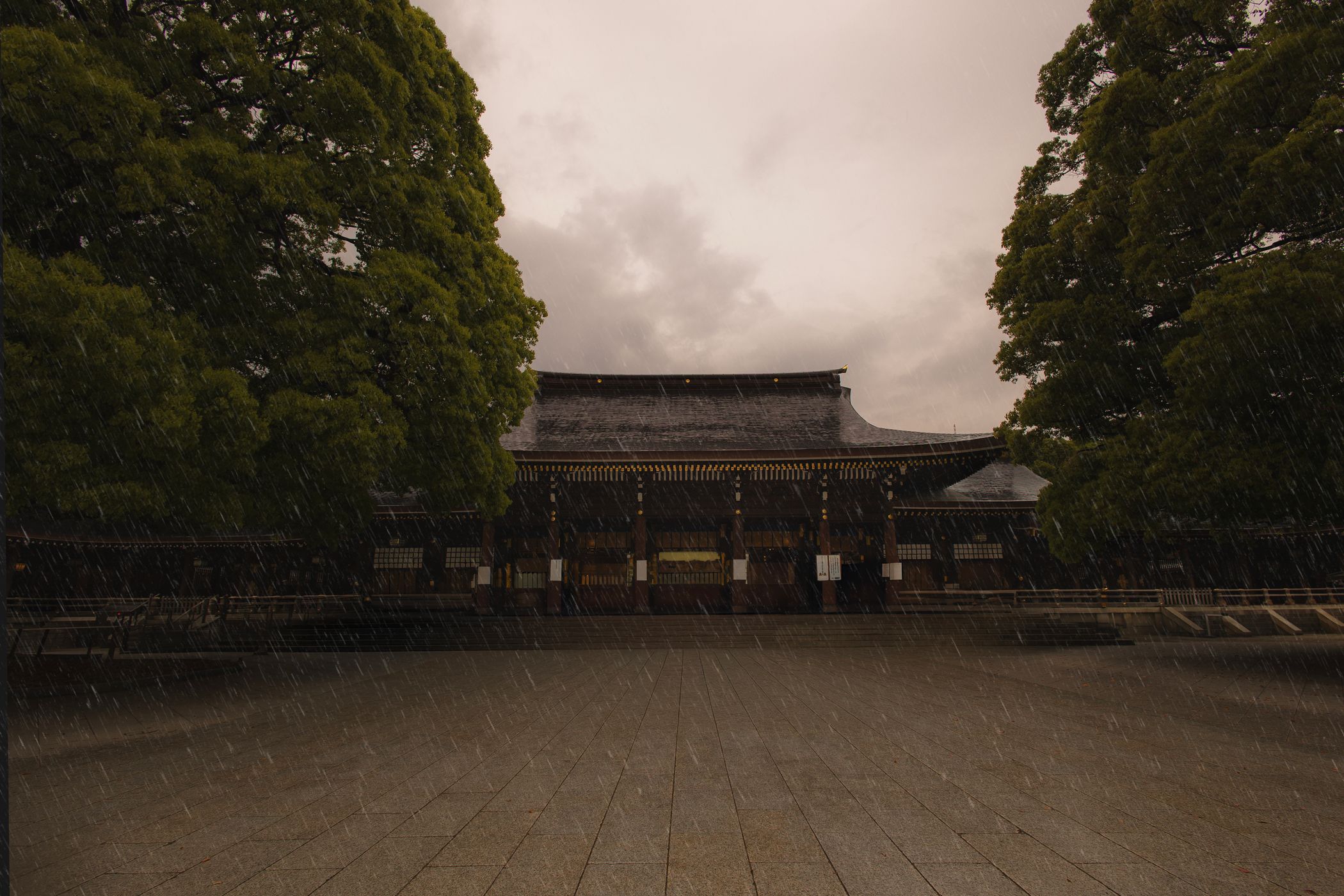 Meiji Shrine, Tokyo, Japan