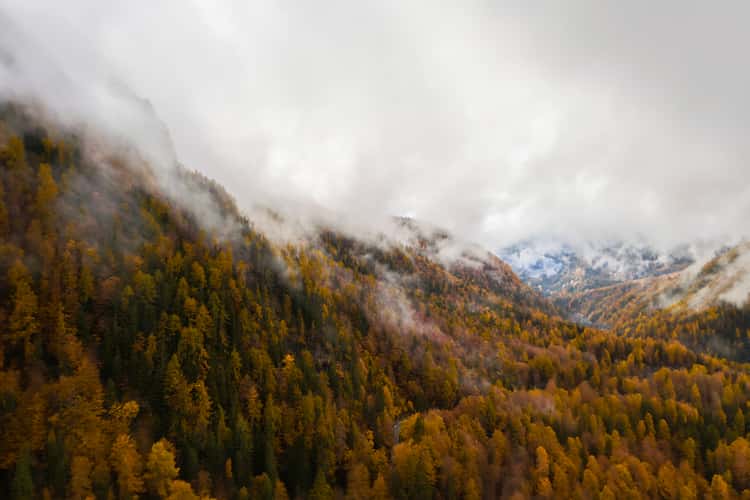 Autumn Valley