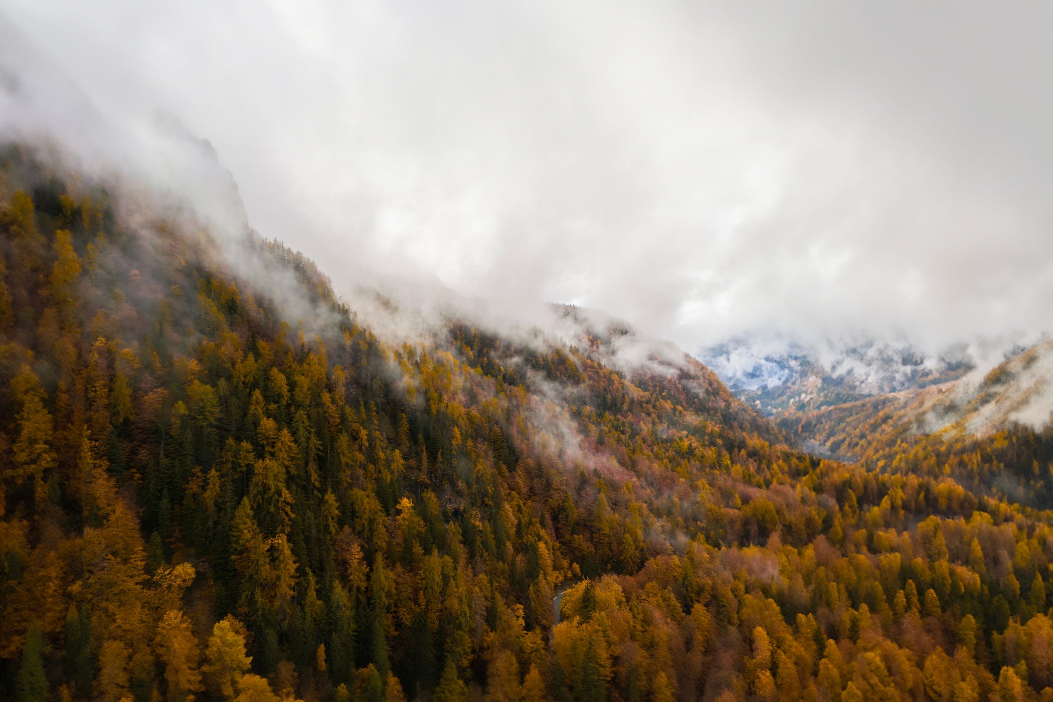 Autumn Valley, Slovenia