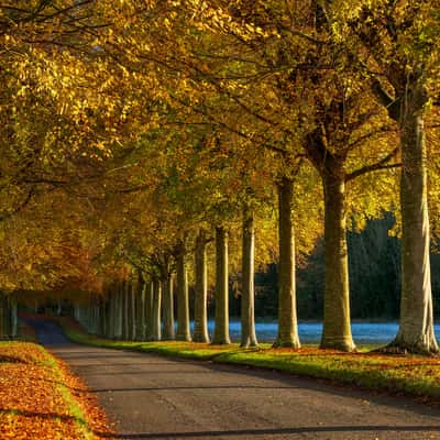 Moor Crichel, Dorset, United Kingdom