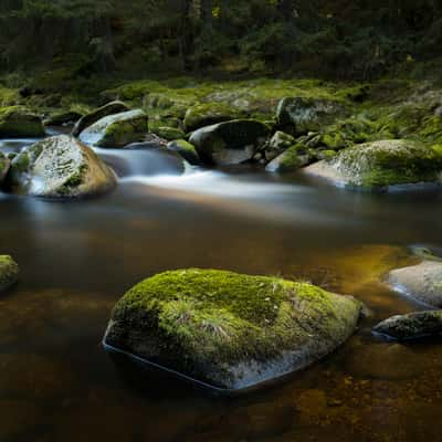 Mossy Rocks of Šumava National Park, Czech Republic