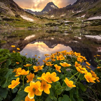 Mountain lake in Mlynická valley  - High tatras, Slovakia (Slovak Republic)