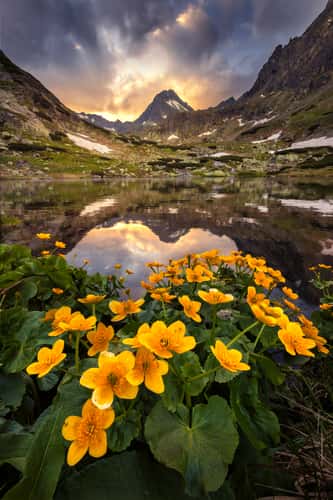 Mountain lake in Mlynická valley  - High tatras