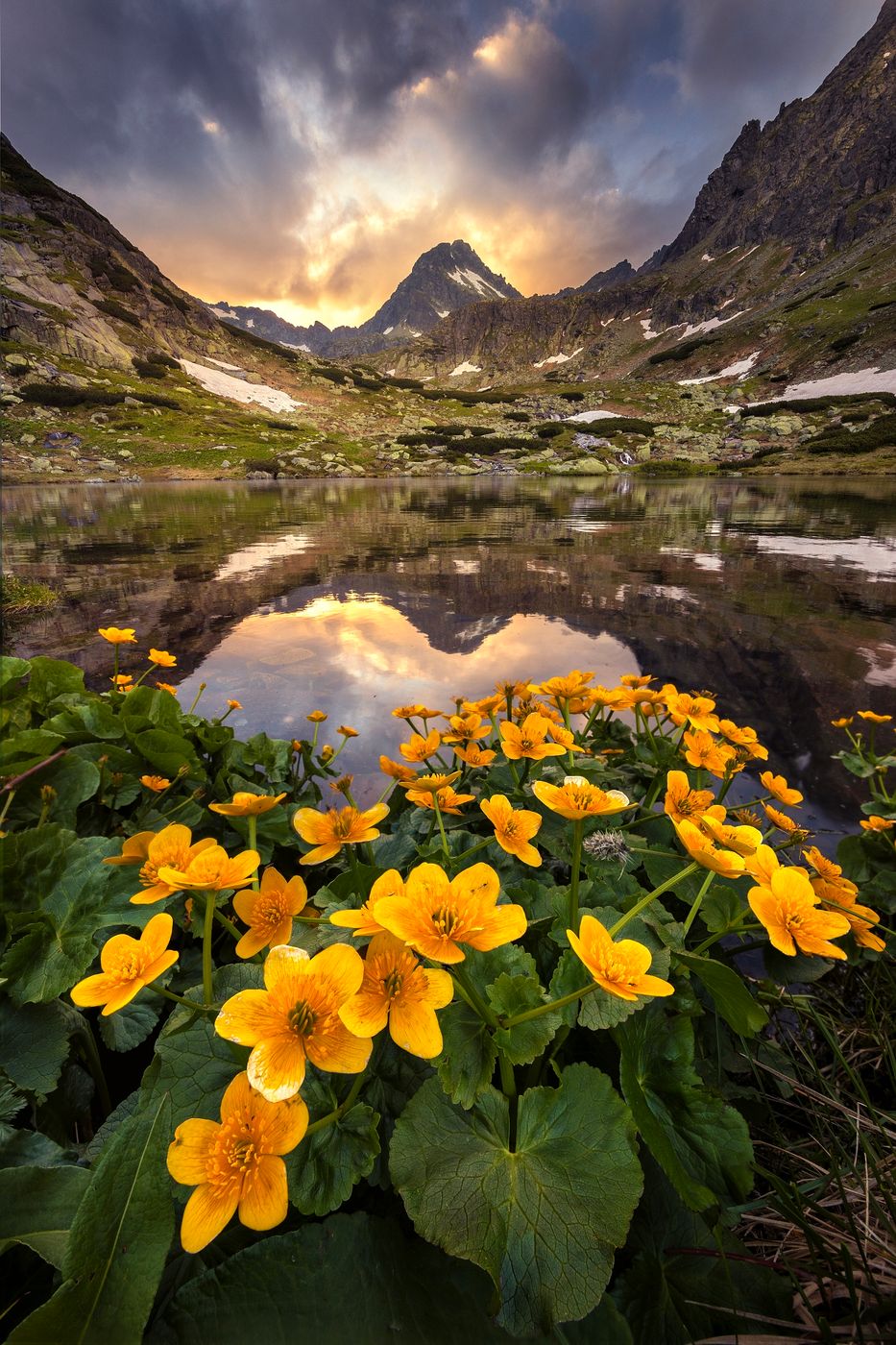 Mountain lake in Mlynická valley  - High tatras, Slovakia (Slovak Republic)