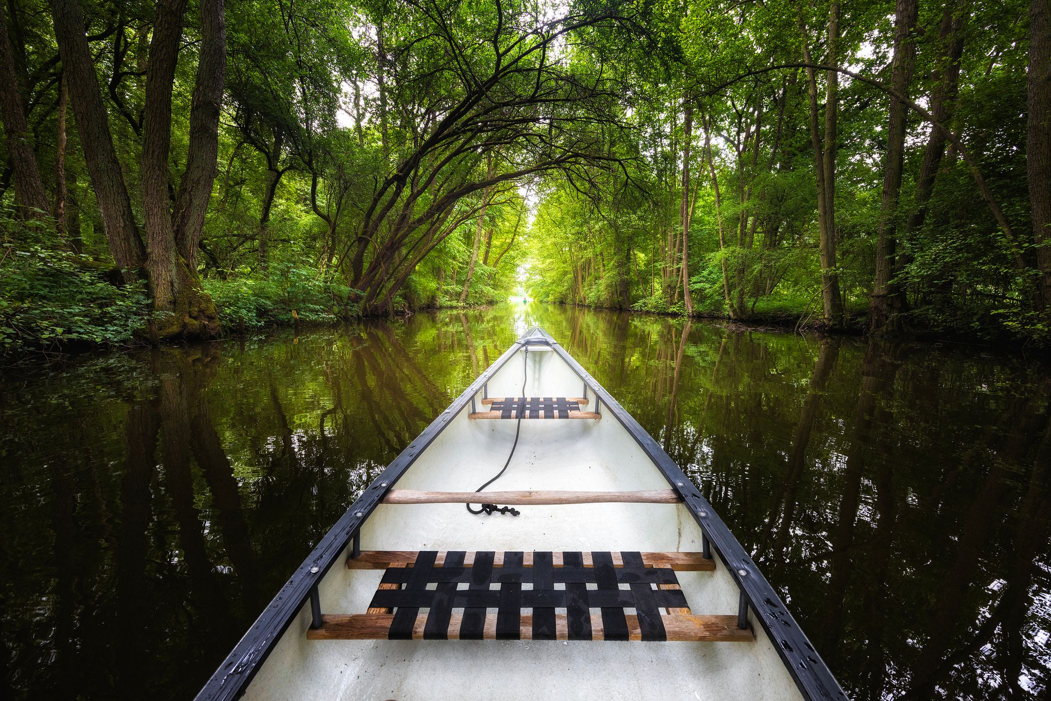 Bolter canal in Müritz National Park, Germany