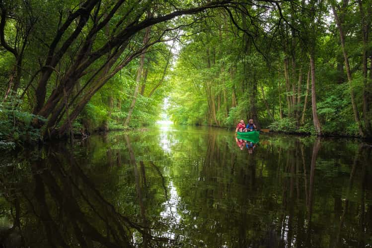 Bolter canal in Müritz National Park