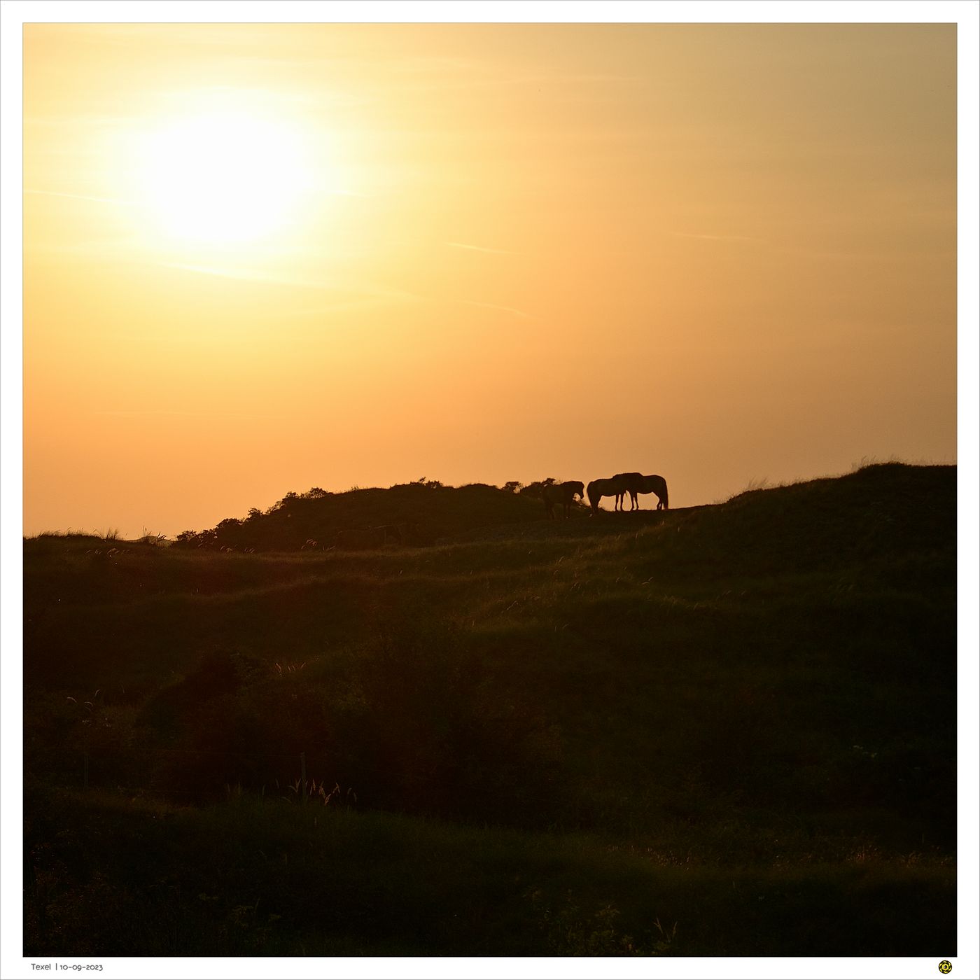 National Park Dunes of Texel, Netherlands