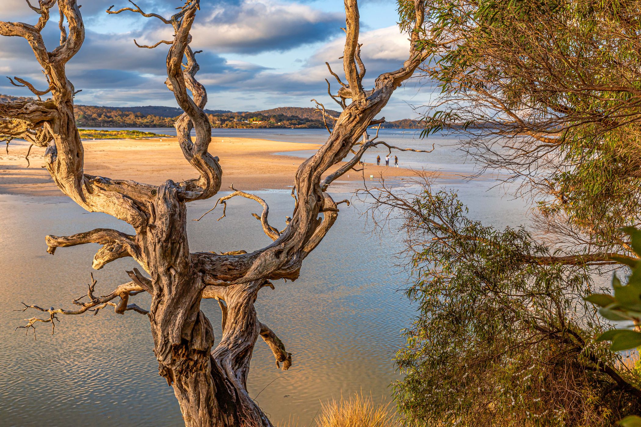Ocean Beach near Denmark, Australia