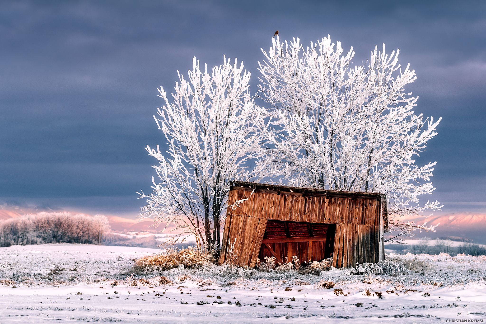 Old hut with trees in the background, Austria