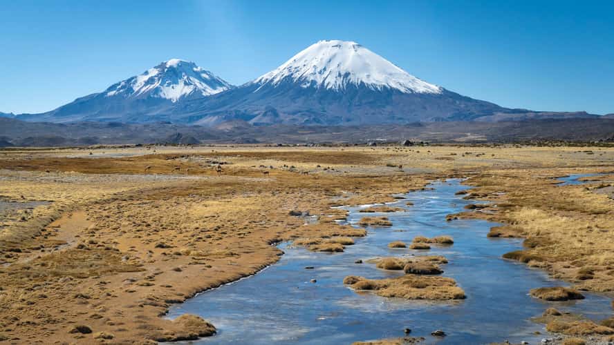 Parinacota volcano