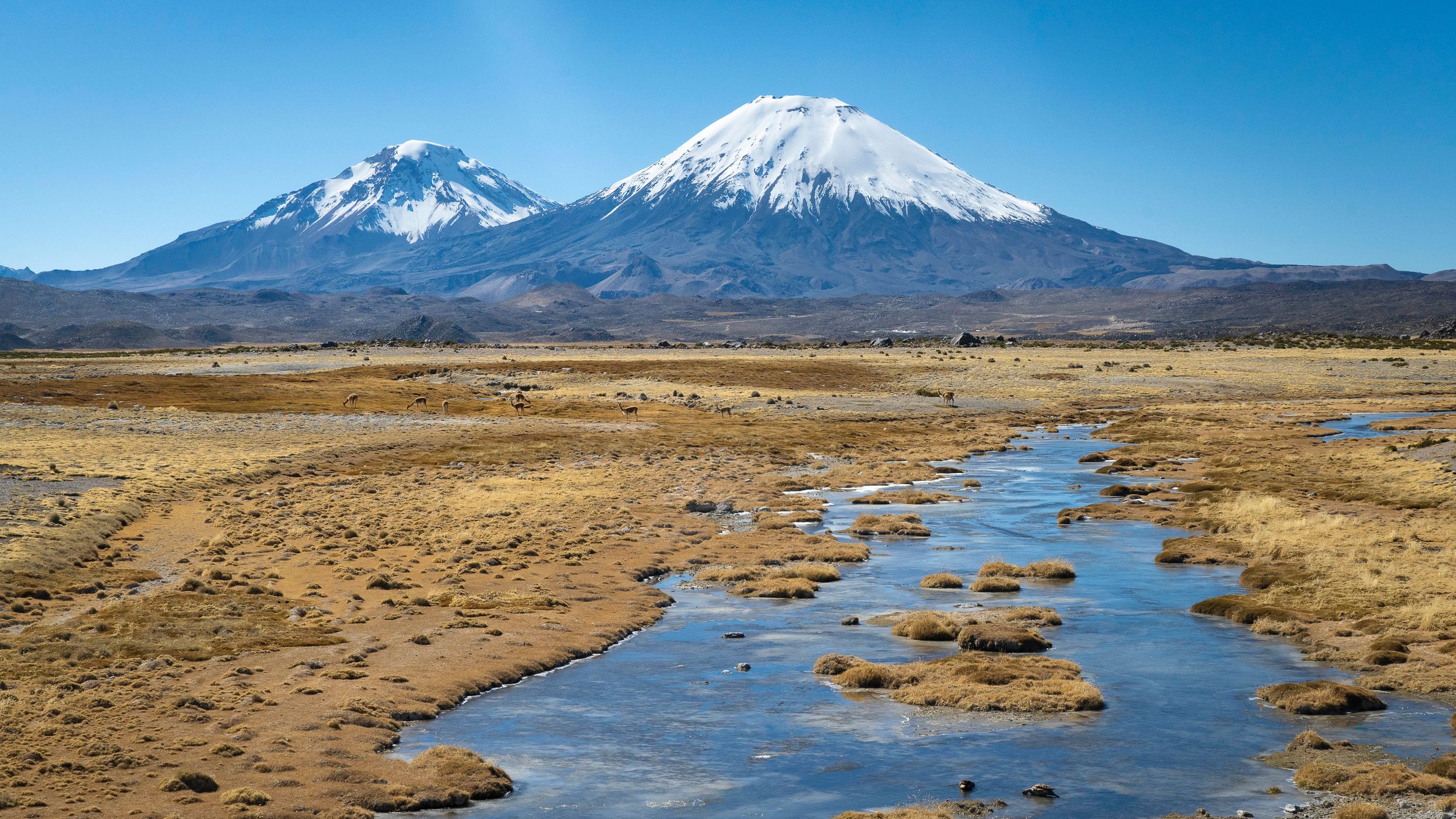 Parinacota volcano, Chile
