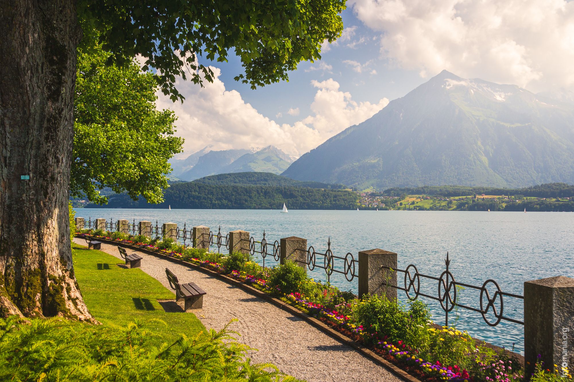 Park in Oberhofen, Switzerland