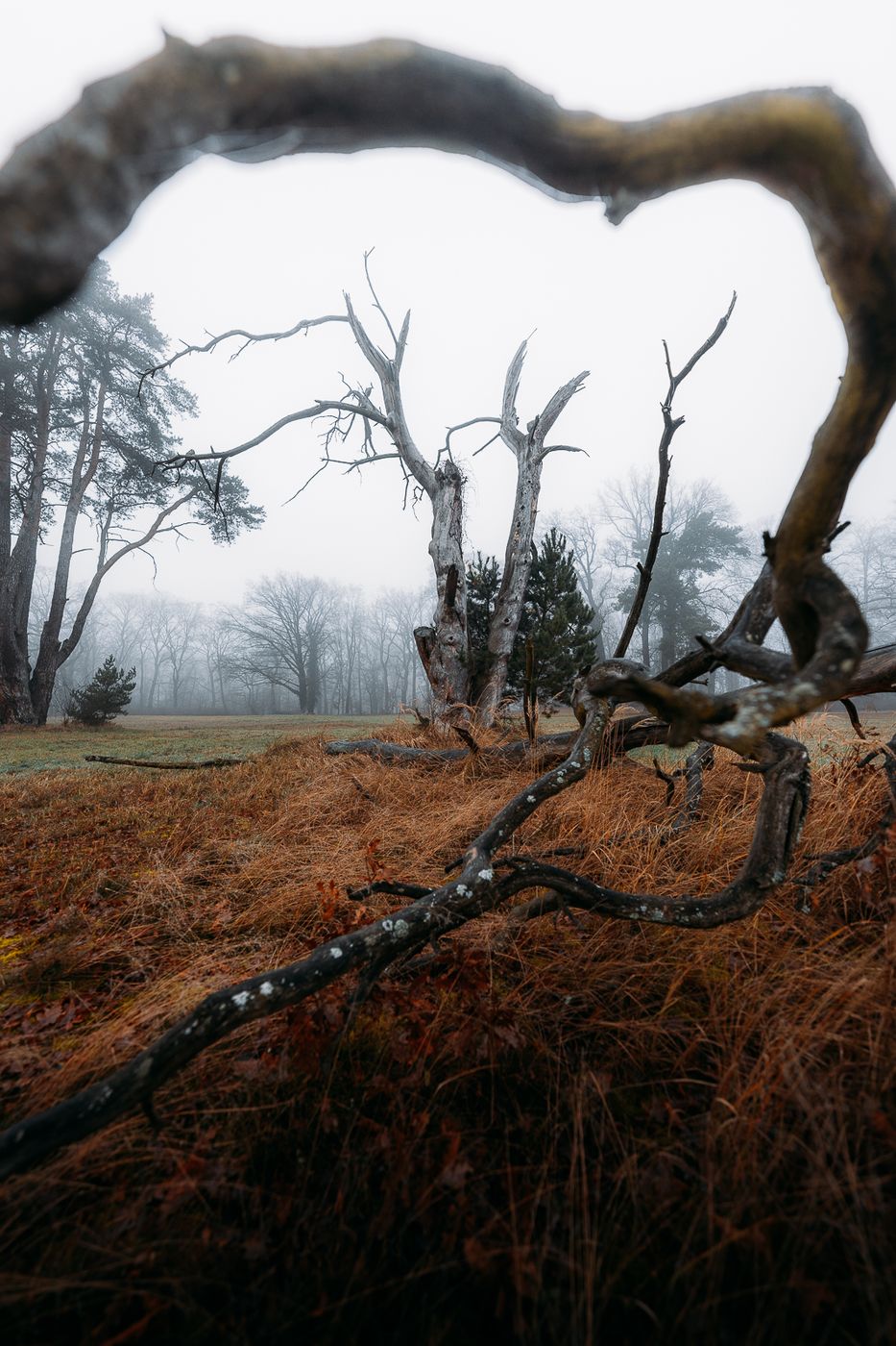 Park Sacrow, Germany