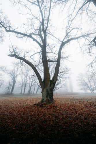 Park Sacrow
