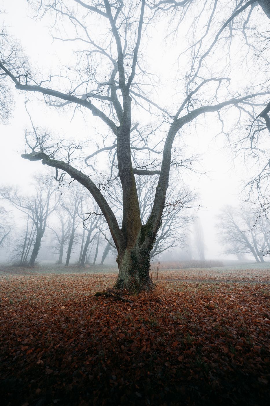 Park Sacrow, Germany