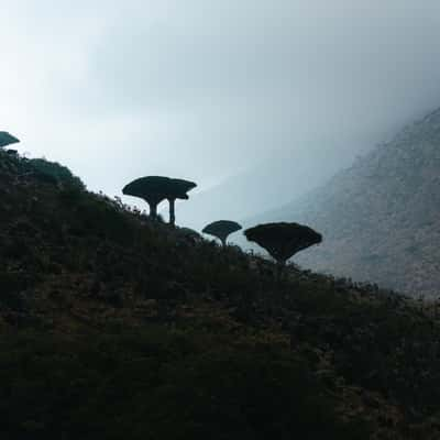 Path to Homhill Infinity Pool, Socotra, Yemen