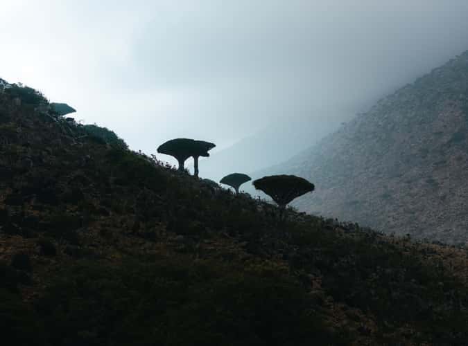 Path to Homhill Infinity Pool, Socotra