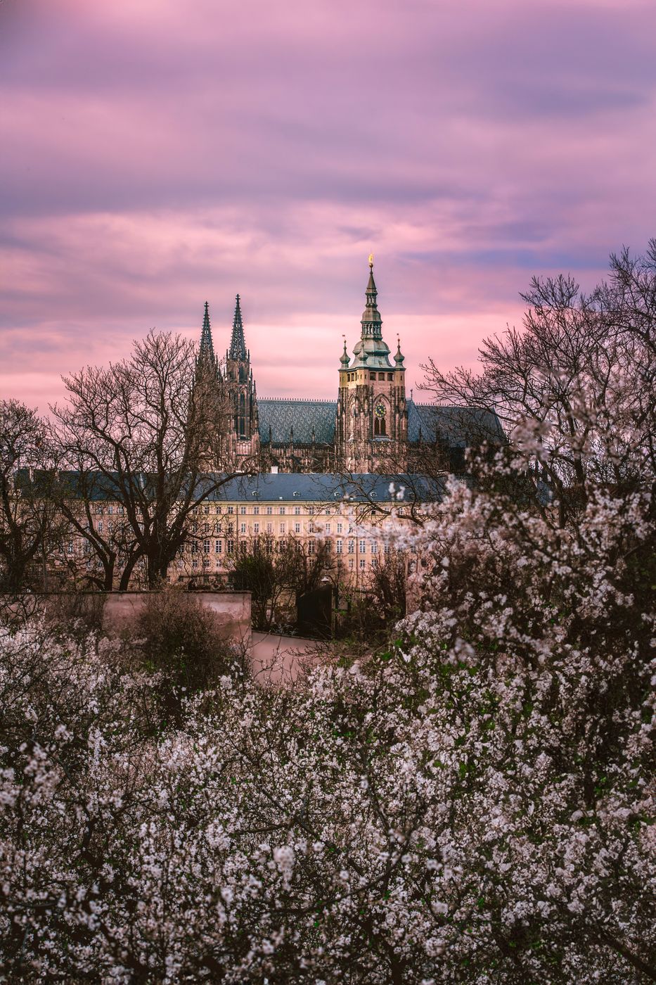 Petřín in Spring, Czech Republic
