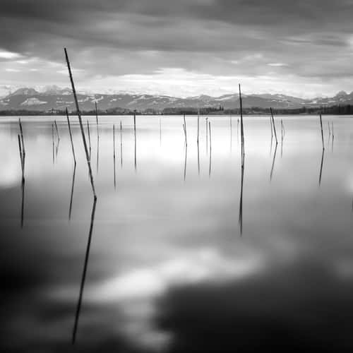 Pfäffikersee