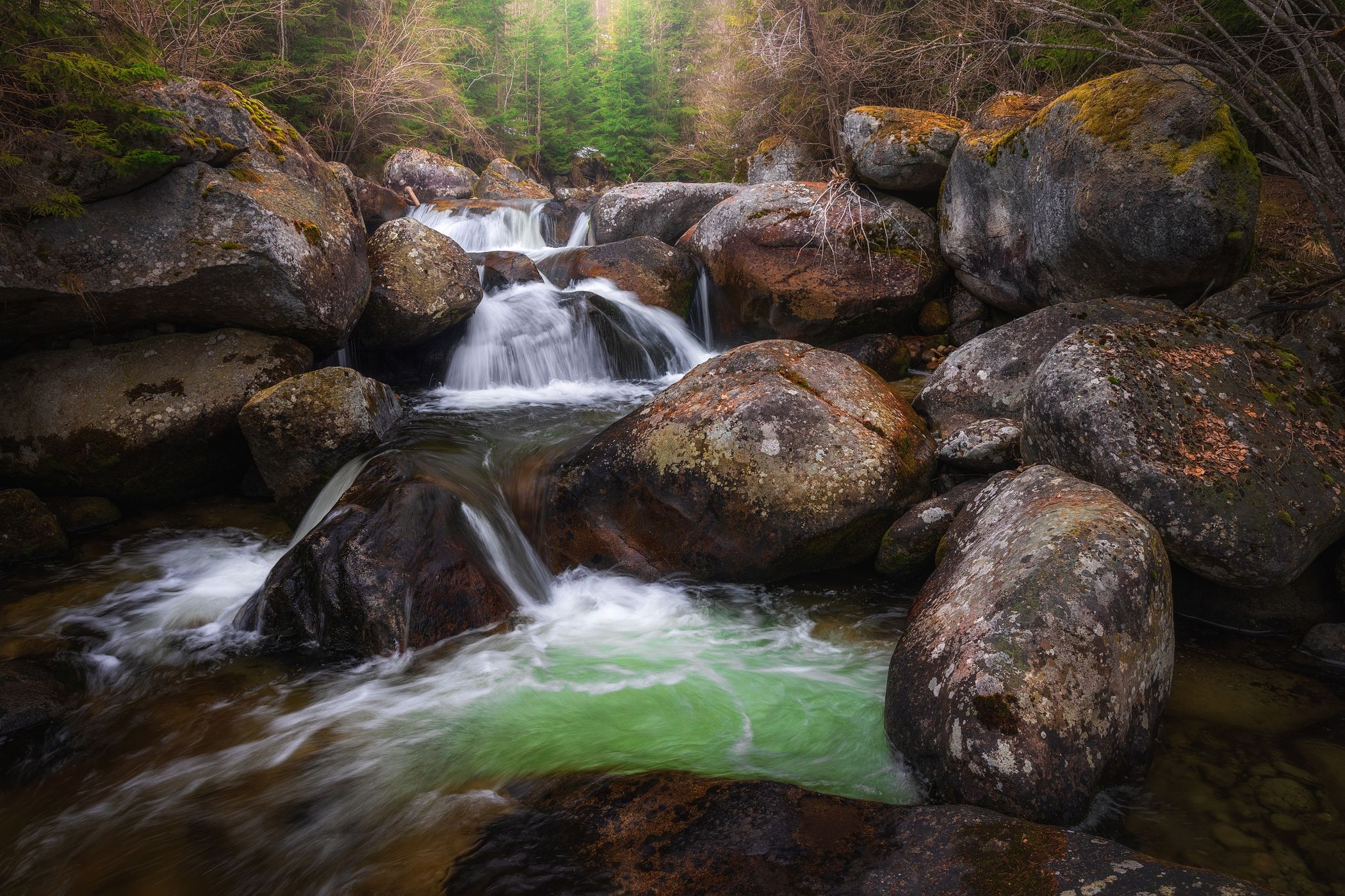 Poprad river in High Tatras NP, Slovakia (Slovak Republic)