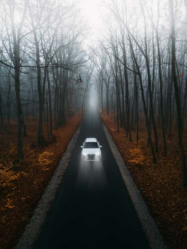 Road to Sacrow, Potsdam