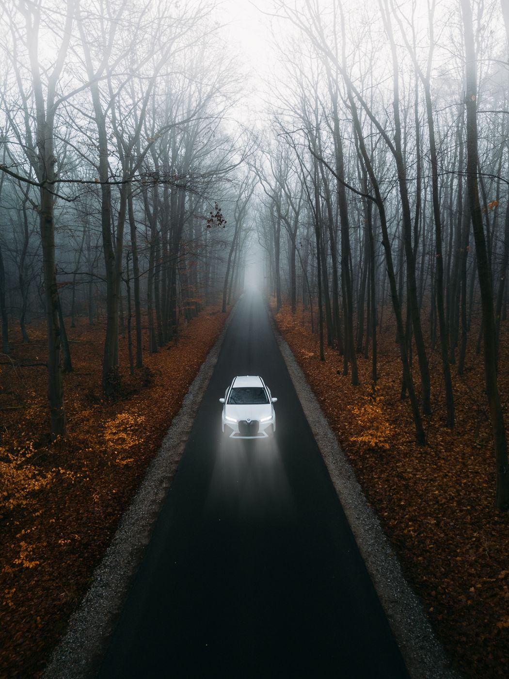 Road to Sacrow, Potsdam, Germany