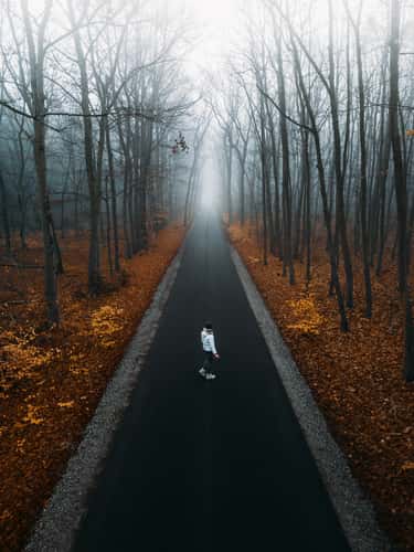 Road to Sacrow, Potsdam