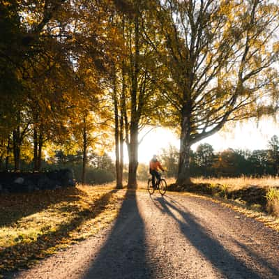 Road to Utö kyrka, Sweden