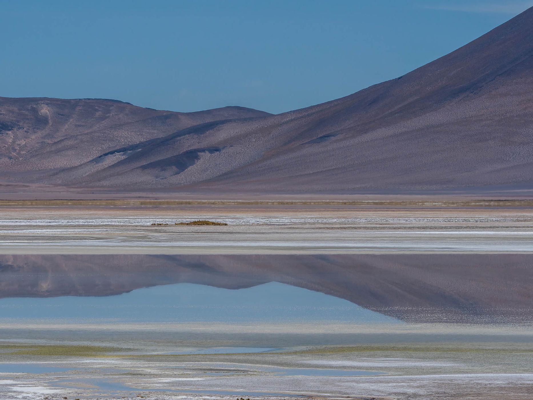 Salar del Huasco, Chile