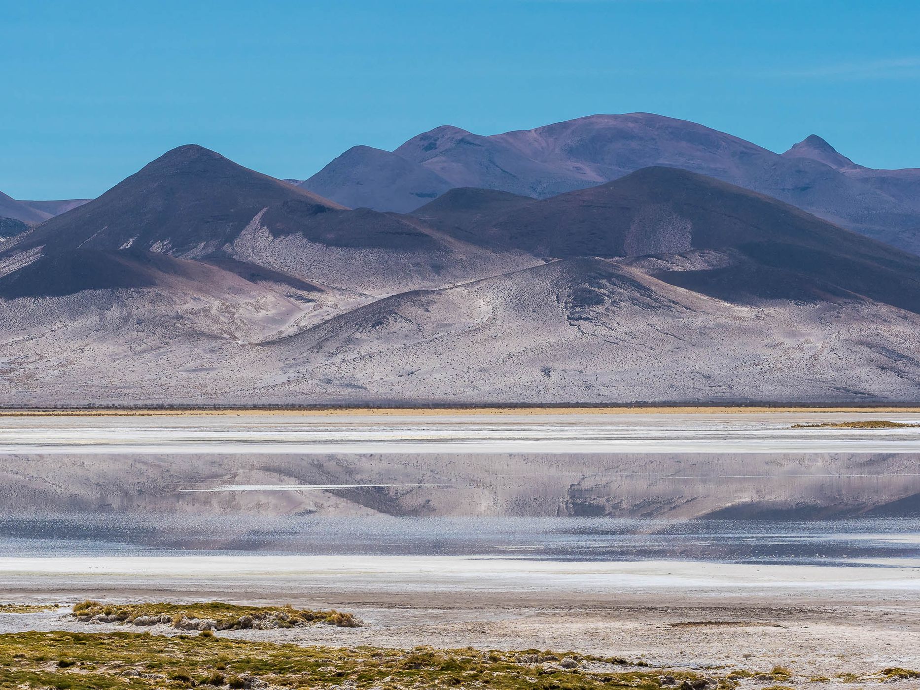Salar del Huasco, Chile