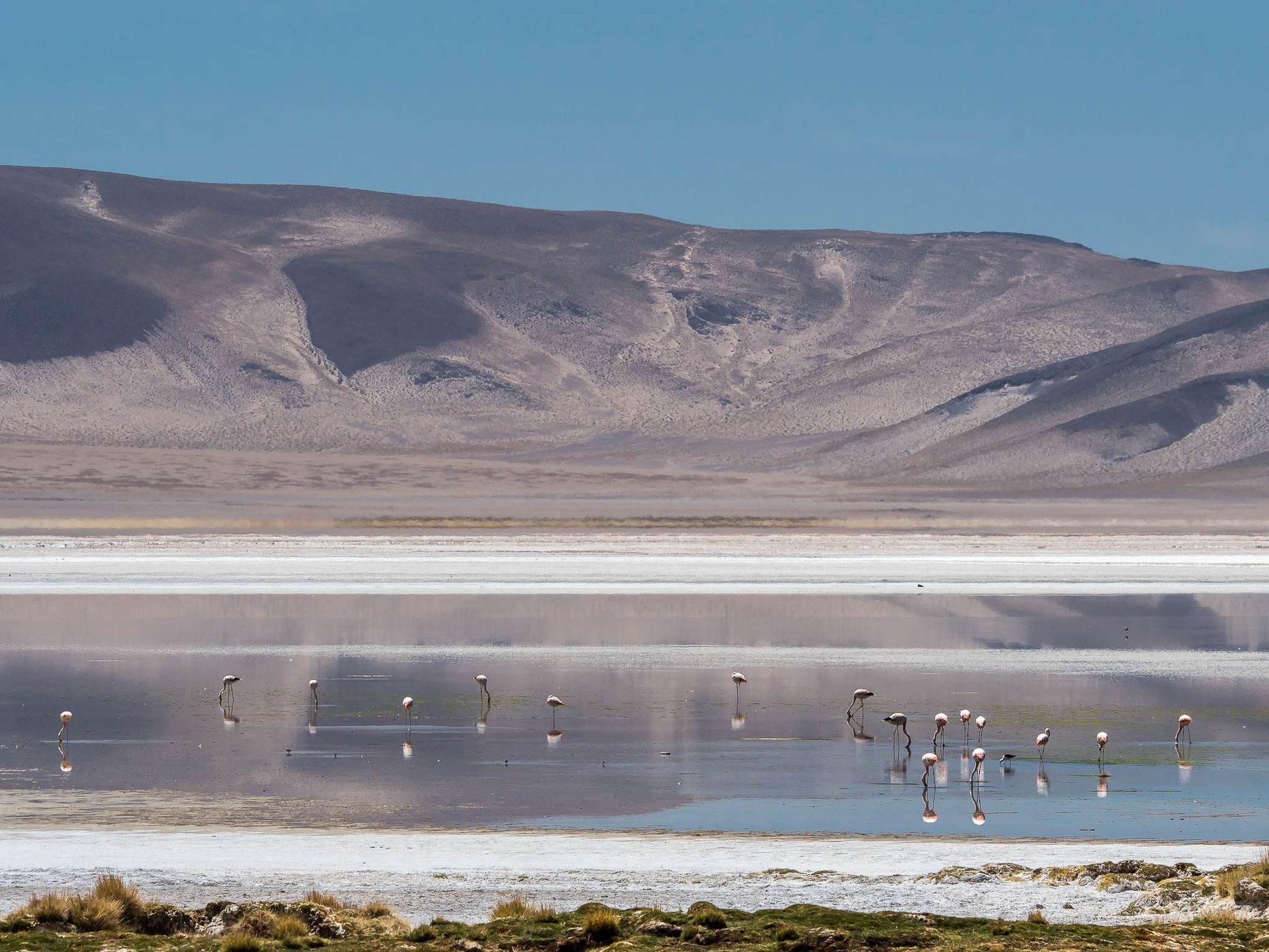 Salar del Huasco, Chile