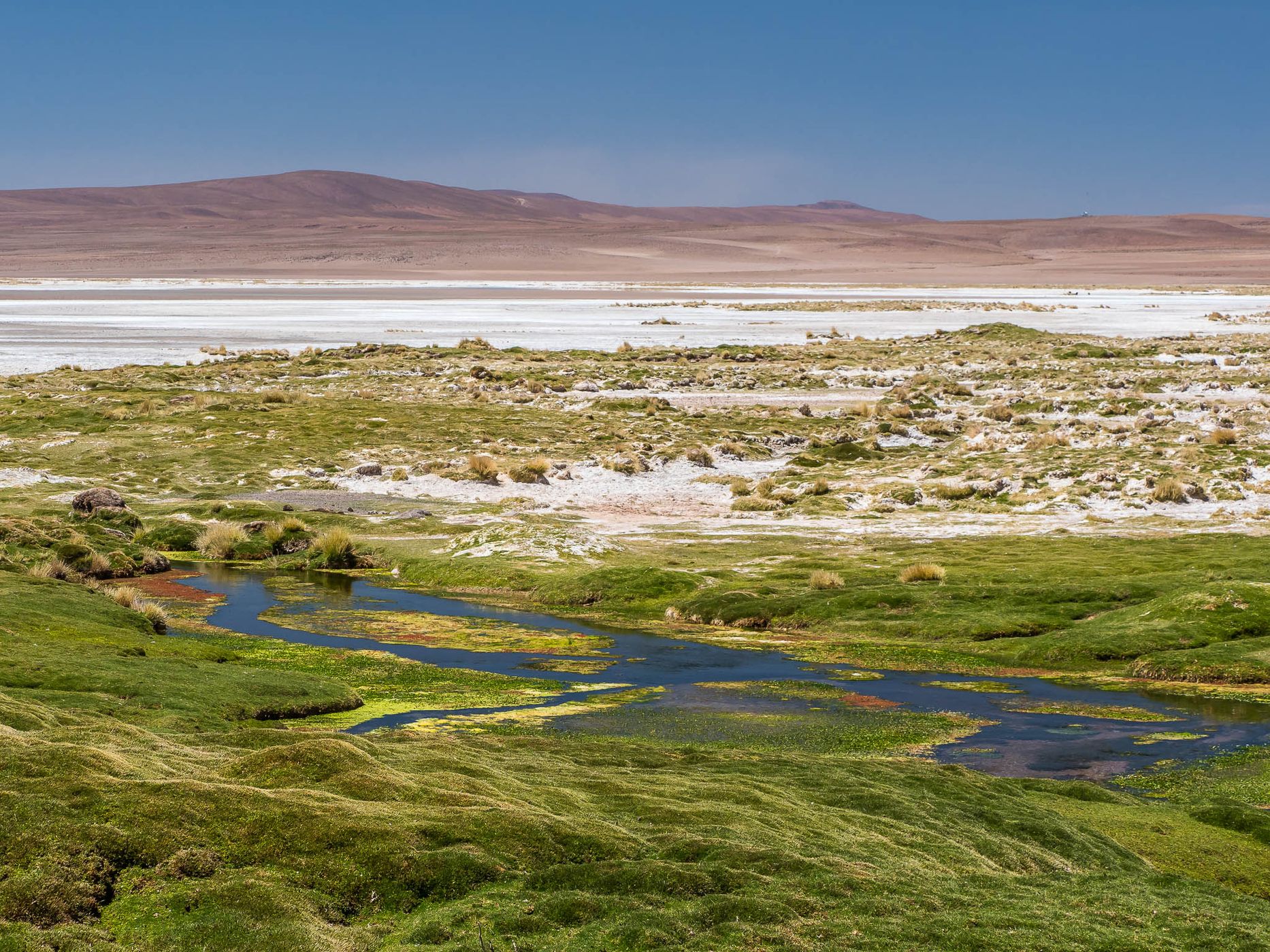Salar del Huasco, Chile