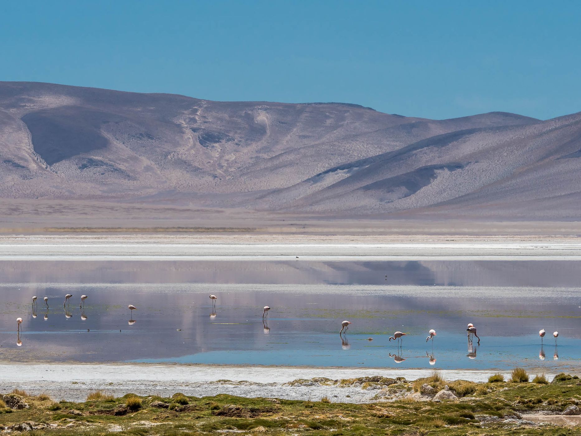Salar del Huasco, Chile