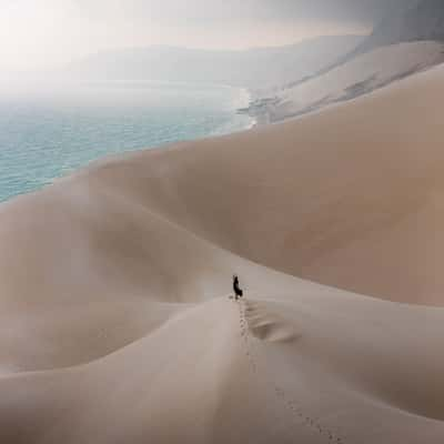 Sand Dunes of Archer, Yemen