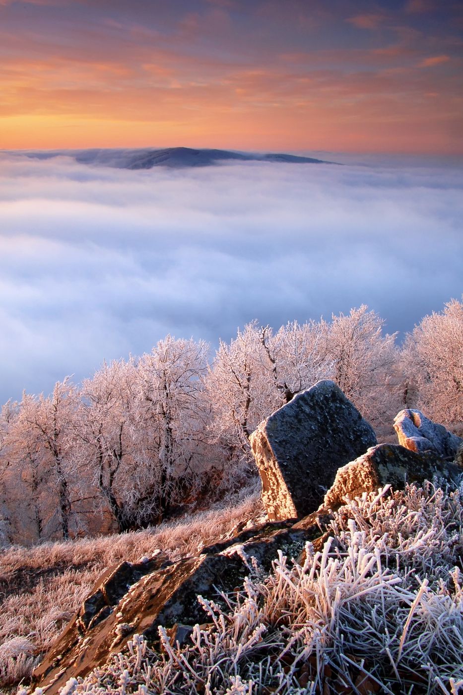 Small Carpathian moutains, Slovakia (Slovak Republic)