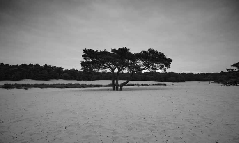 Soester Duinen