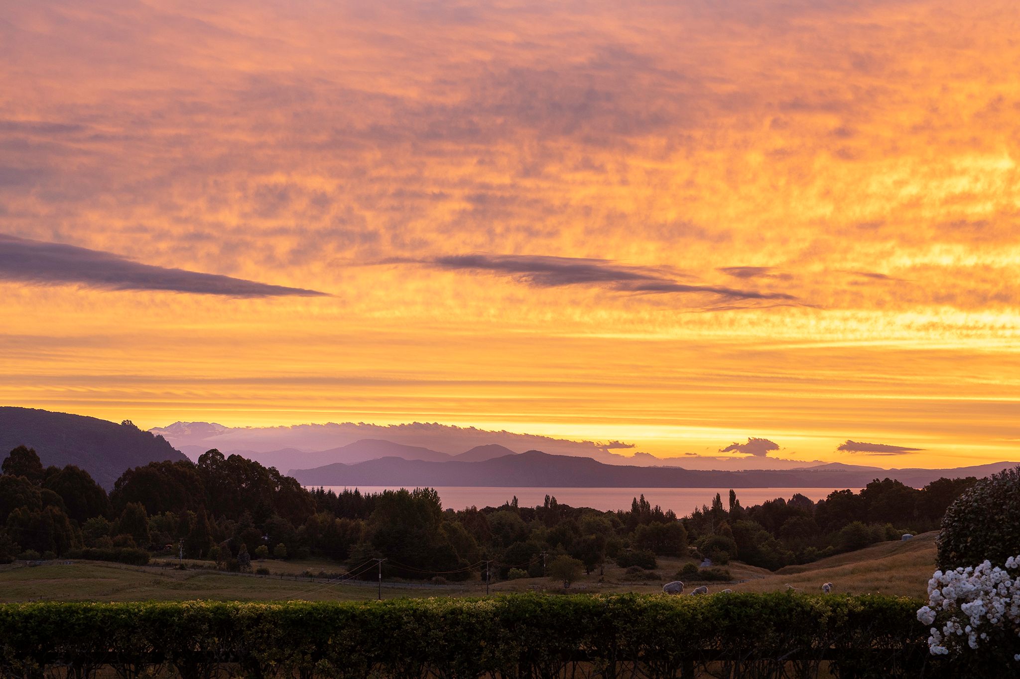 Sunset over lake Taupo, New Zealand