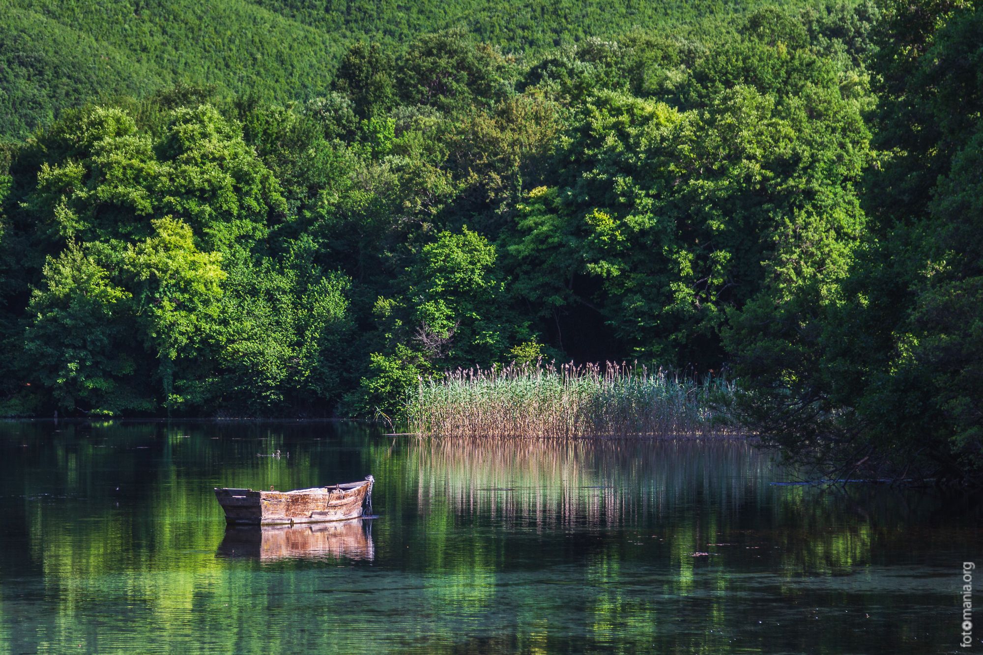 Surroundings of St. Naum monastery, Ohrid lake, Macedonia