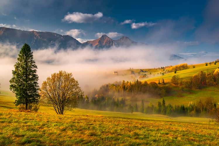 Tatras mountains view